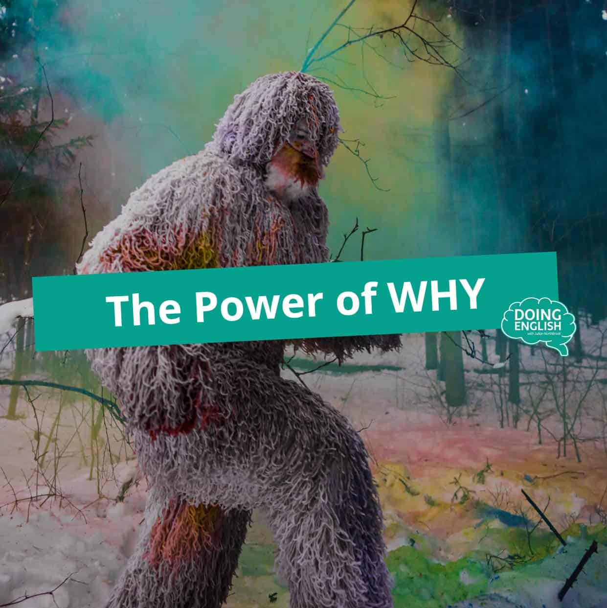 the power of why